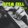 Stem Cell