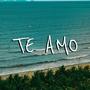 Te Amo (Afro House & Emotional Vibes) (feat. T'Kane)