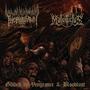 Guided by Vengeance & Bloodlust (Explicit)