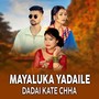 Mayaluka Yadaile Dadai Kate Chha