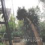 Daylight (feat. Furkan Yangöz)