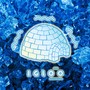 IGLOO