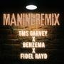 MANINI (feat. BENZEMA & FIDEL RAYD) [REMIX (II)]