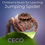 Children's Music for Learning: Jumping Spider