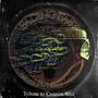 Fading Fast (Tribute to Cannon Soul) (feat. Louis Lunch & Dstark)