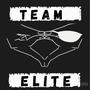 Team Elite (feat. Statiic Prime, Guru Santi & Curzive) [Explicit]