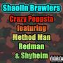 Shaolin Brawlers (feat. Method Man,Redman & Shyheim) [Explicit]