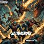 SALAMANDER (Explicit)