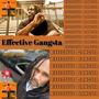 Effective Gangsta (Explicit)