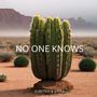 No One Knows