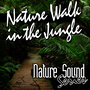 Nature Walk in the Jungle (Nature Sounds)