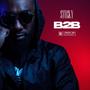 B2B (Explicit)