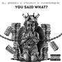 You Said What? (Explicit)