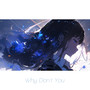 Why Don't You