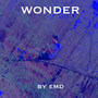 Wonder (Explicit)