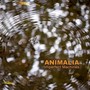 Animalia