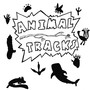 Animal Tracks