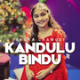 Kandulu Bindu