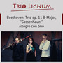 Trio In B-Flat Major, Op. 11 (Arr. For Cl, Bn, Pn): 1. Allegro Con Brio