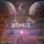 Ditshele (feat. Nthashka The Vocalist, Sedihbuderfly Blvck & Planner Mii Dii Nollow)