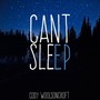 Can't Sleep (feat. Zach Bellas)