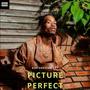 Picture perfect (Explicit)