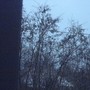 растворяются легенды
