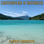 Contemplar a Natureza