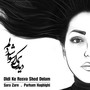 Didi Ke Rosva Shod Delam (feat. Parham Haghighi)