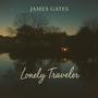 Lonely Traveler