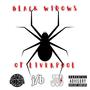 Black Widows of Liverpool (feat. J3B) [Explicit]