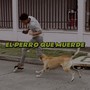 El Perro Que Muerde