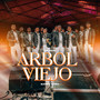 Árbol Viejo (En vivo)