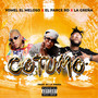 Cotumo (Explicit)