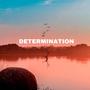 Determination (feat. B.Rose) [Explicit]