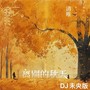 离别的秋天(DJ未央版)