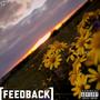 Feedback (Explicit)