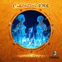 Cleansing Fire