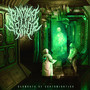 Elements of Contamination