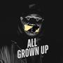 All Grown Up (feat. Meekz) [Explicit]