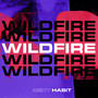 Wildfire