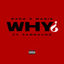 Why (Explicit)