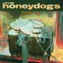 The Honeydogs