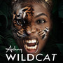 Wild Cat