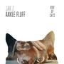 Ankle Fluff EP