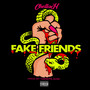 Fake Friends (Explicit)