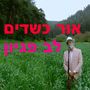 לב פגיון