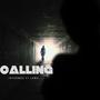 Calling You (feat. Lemz)