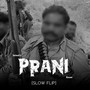 Prani (Slow Flip) [Explicit]