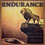 Endurance